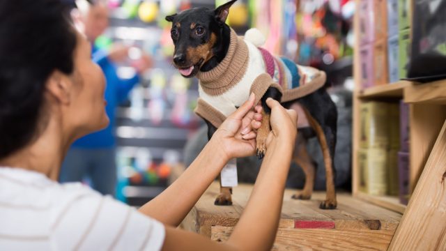 Pets and Pet Care